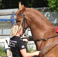 Tracey and a brown horse